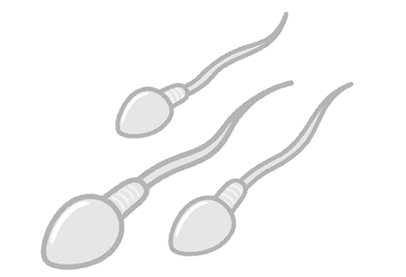 精子